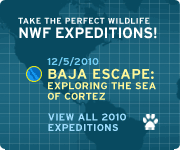 Take an NWF Expedition - Baja Escape